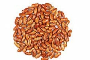 rajma