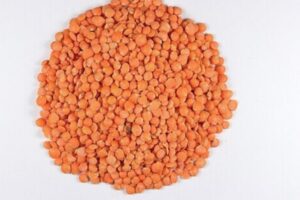 masoor dal is High Protein Pulses for Weight Loss